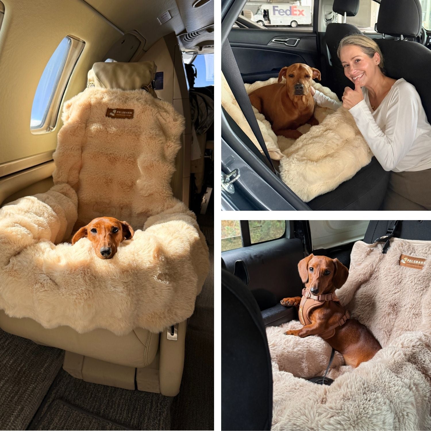 Pelsbarn car bed shown in customer product imagery